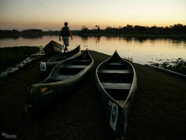 Pantanal, Brazil (2004)