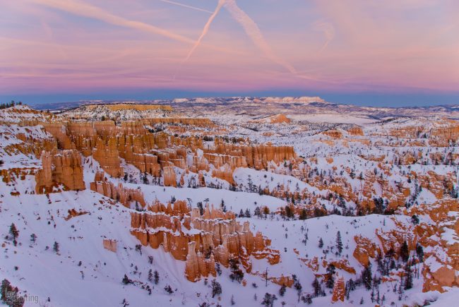 Bryce Canyon, Utah (2008)