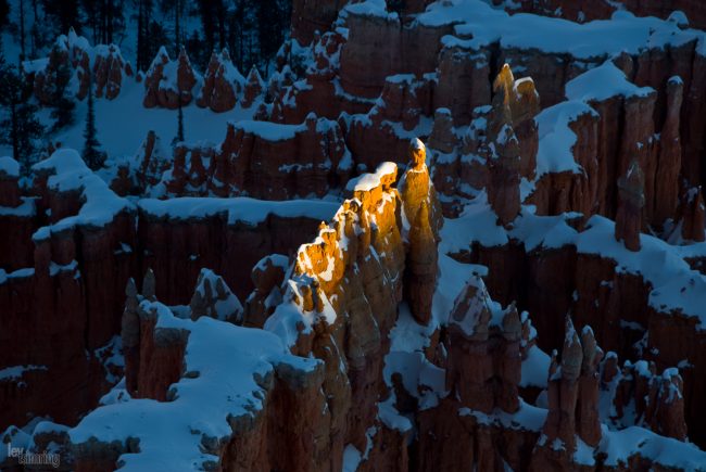 Bryce Canyon, Utah (2008)