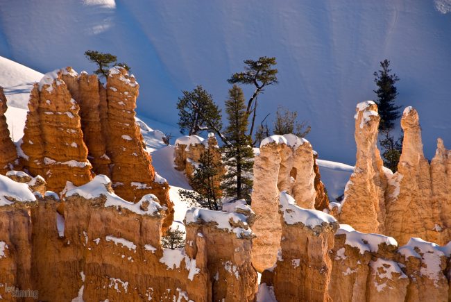 Bryce Canyon, Utah (2008)