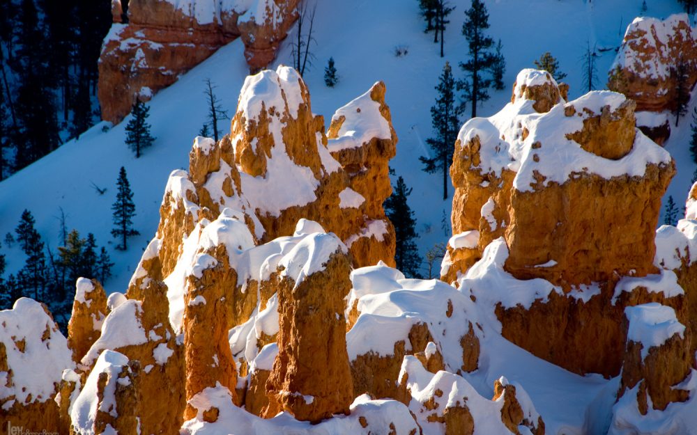 Bryce Canyon, Utah (2008)
