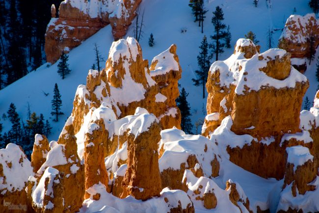 Bryce Canyon, Utah (2008)