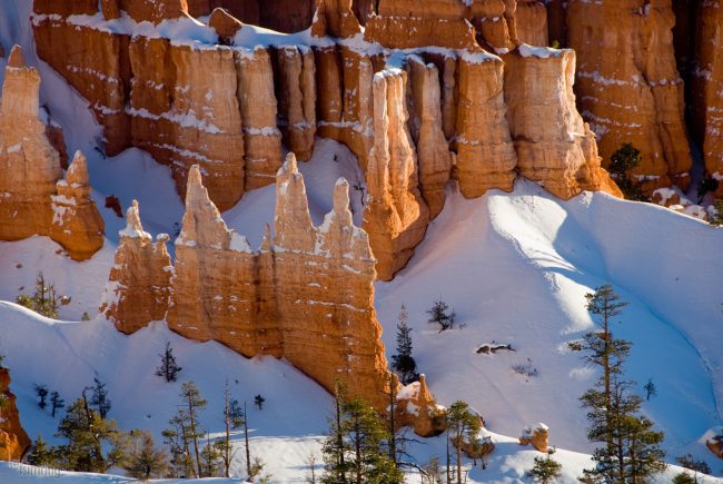 Bryce Canyon, Utah (2008)