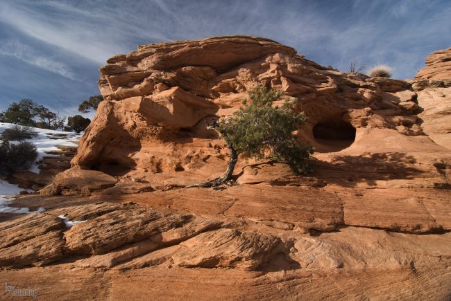 Canyonlands NP, Utah (2009)