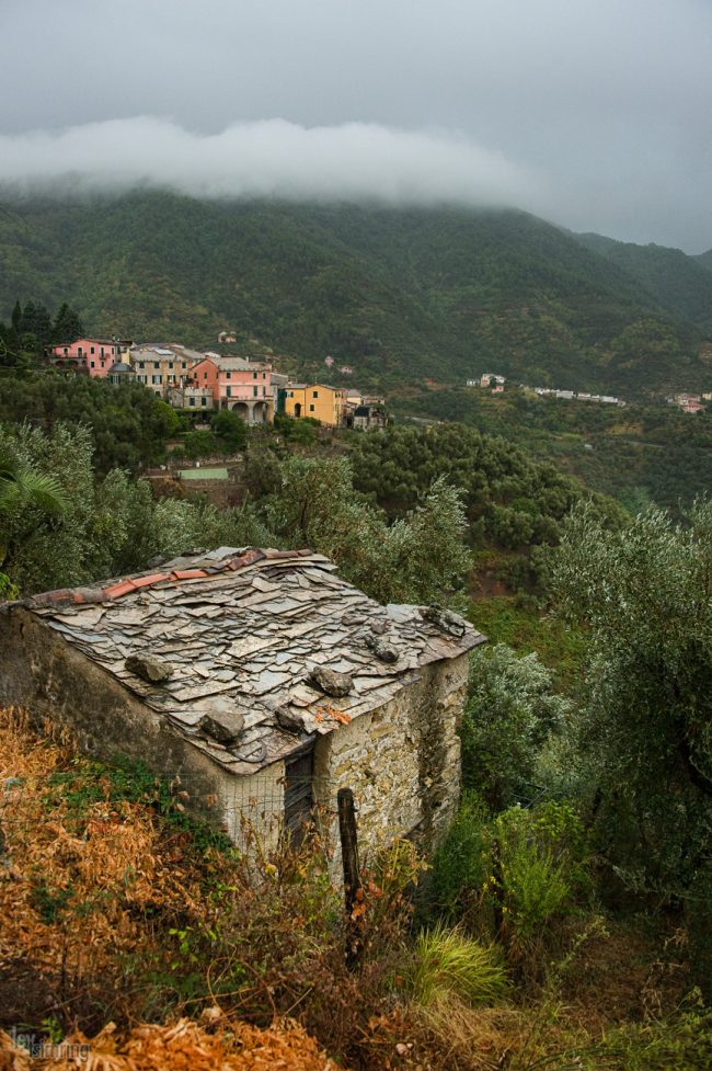 Cinque Terre, Italy (2009)