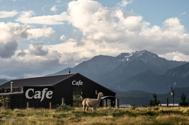 Te Anau, New Zealand (2017)