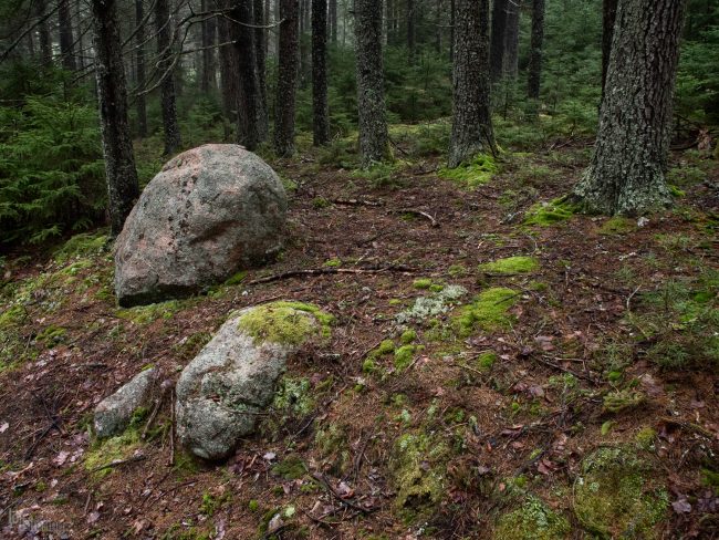 Acadia National Park, Maine (2013)