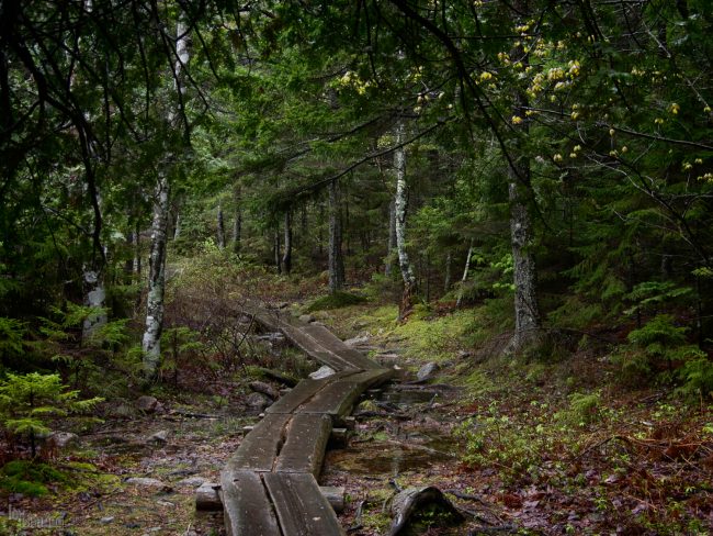 Acadia National Park, Maine (2013)