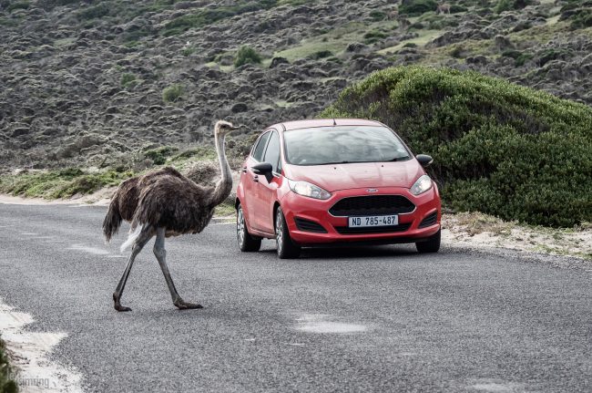 Cape Town, South Africa (2018)