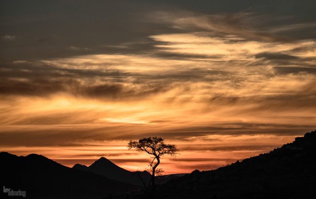 Namibia (2018)