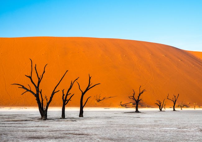 Namibia (2018)