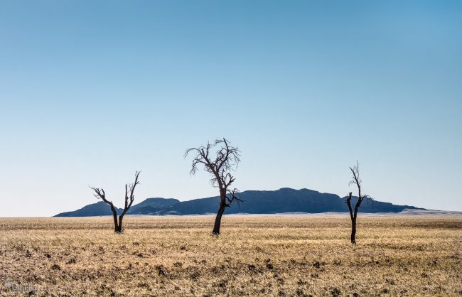Namibia (2018)