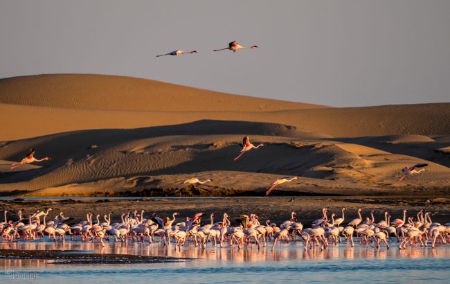 Walvis Bay, Namibia (2018)