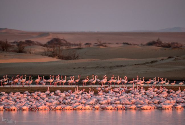 Walvis Bay, Namibia (2018)