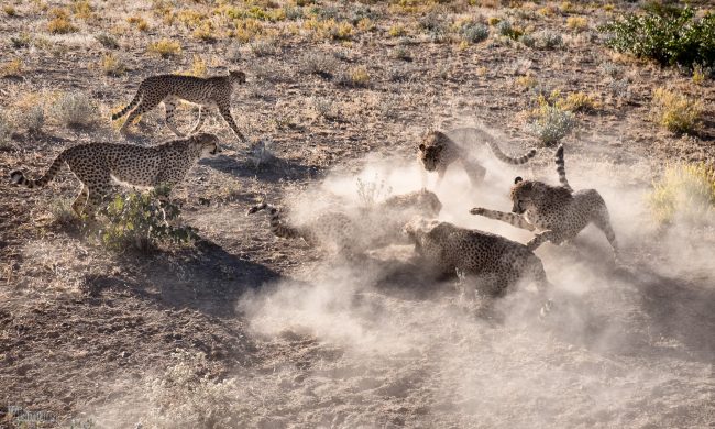 Namibia (2018)