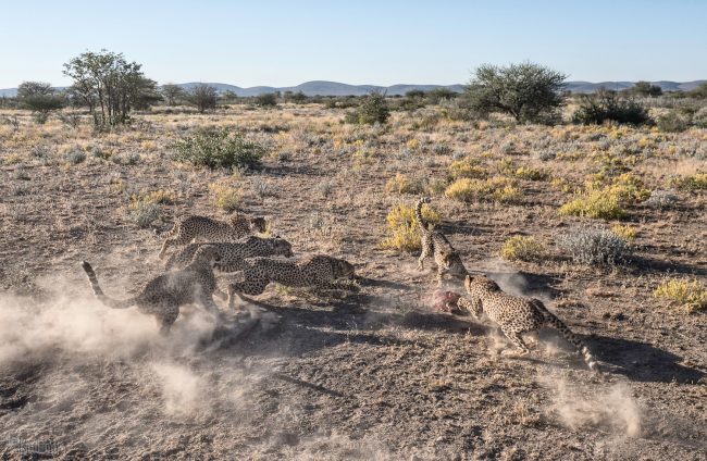 Namibia (2018)