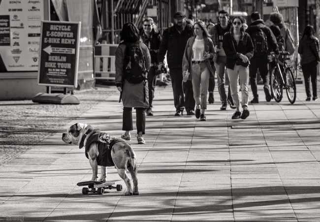 Berlin, Germany (2018)