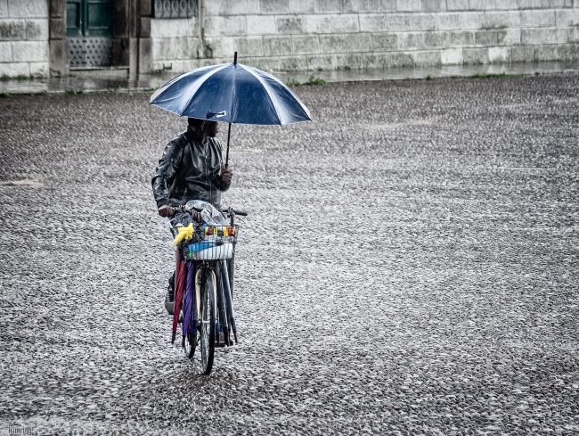 Umbrella man <p> Padua, Italy (2019))