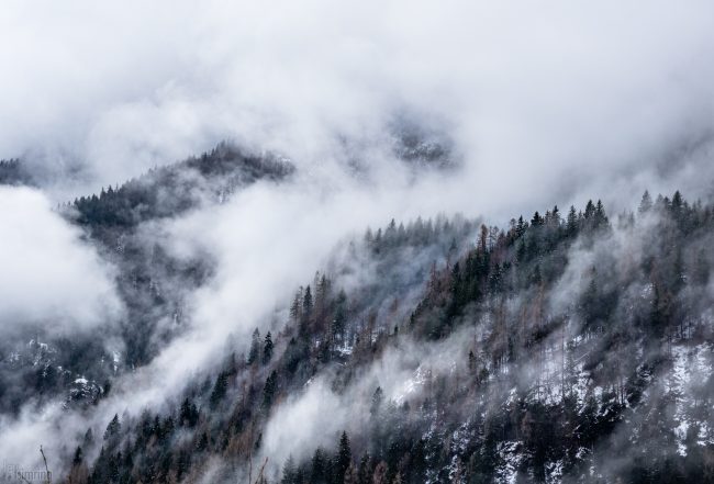 Dolomites, Italy (2019)