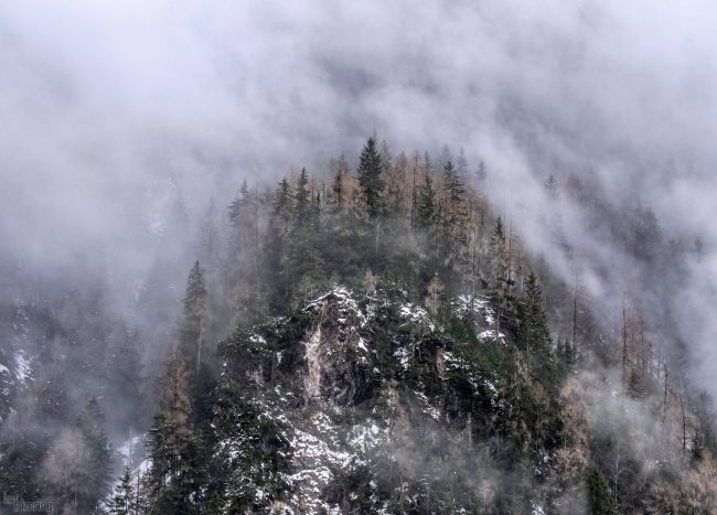 Dolomites, Italy (2019)