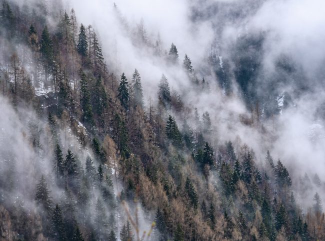 Dolomites, Italy (2019)