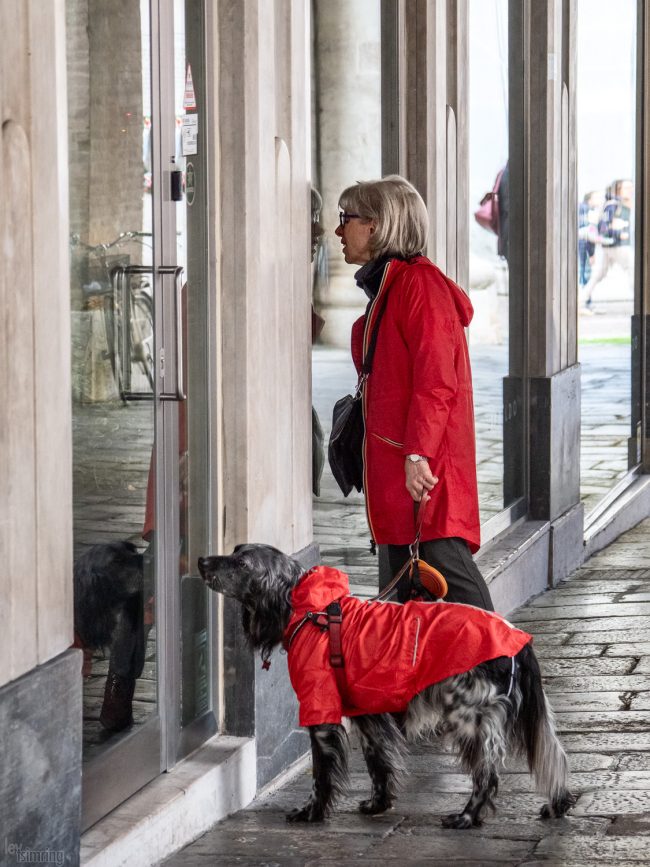 Treviso, Italy (2019)