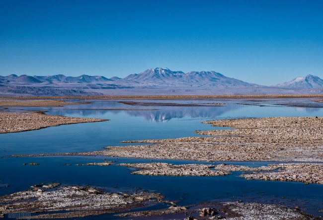 Laguna Chaxa<p> Atacama desert, Chile (2019)