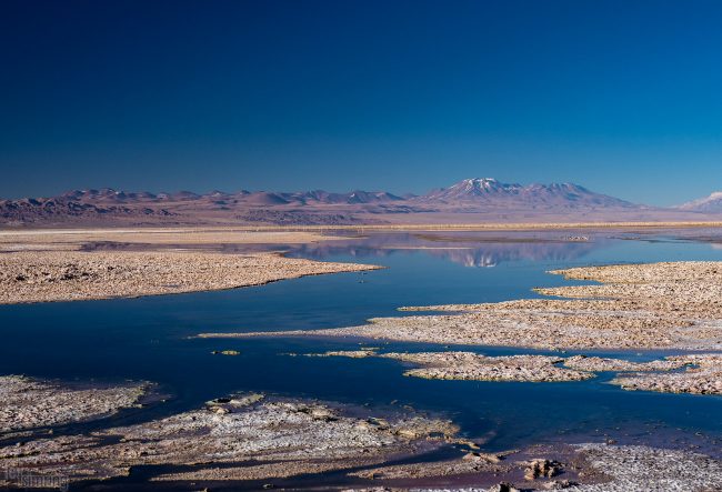 Laguna Chaxa<p> Atacama desert, Chile (2019)