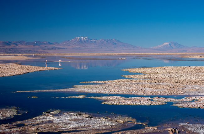 Laguna Chaxa<p> Atacama desert, Chile (2019)