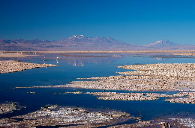 Laguna Chaxa<p> Atacama desert, Chile (2019)