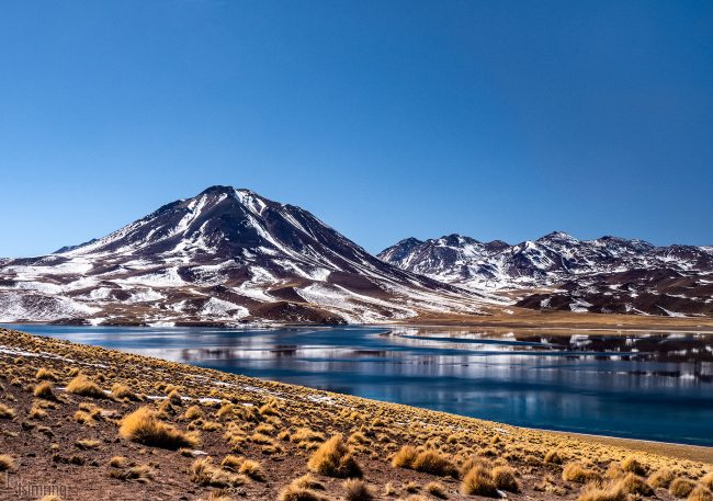 Laguna Miscanti <p> Atacama desert, Chile (2019)