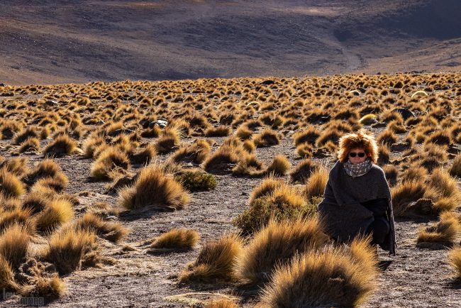 Atacama, Chile (2019)