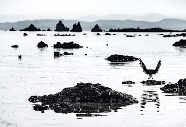 Mono lake, California (2020)