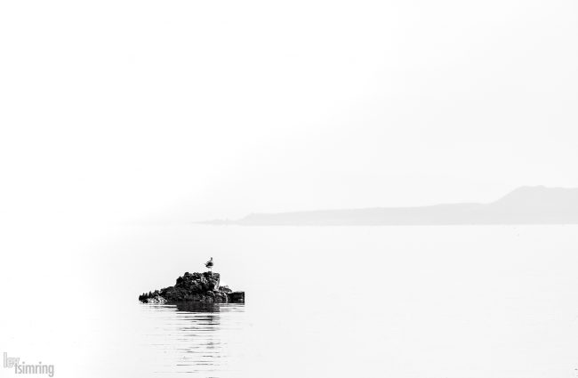 Mono lake, California (2020)