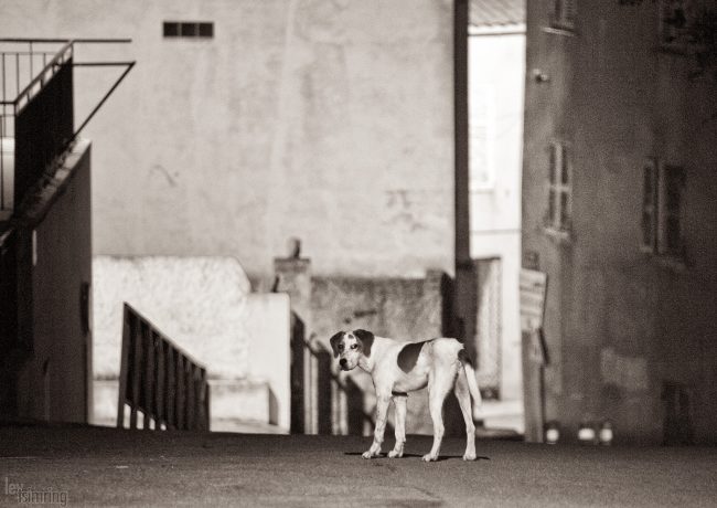 Ajaccio, Corsica (2012)