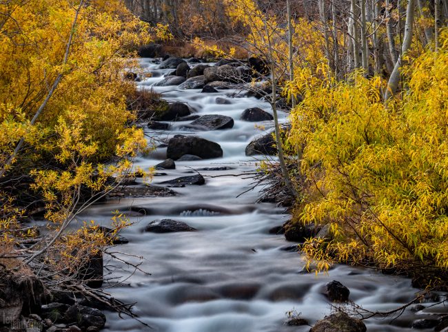 Bishop Creek Canyon, California (2020)