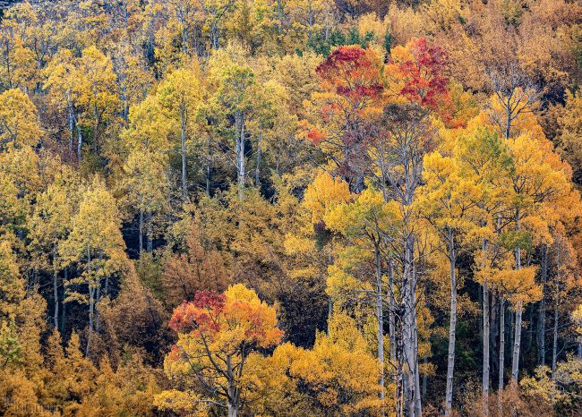 Bishop Creek Canyon, California (2020)