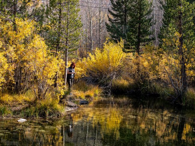 Bishop Creek Canyon, California (2020)