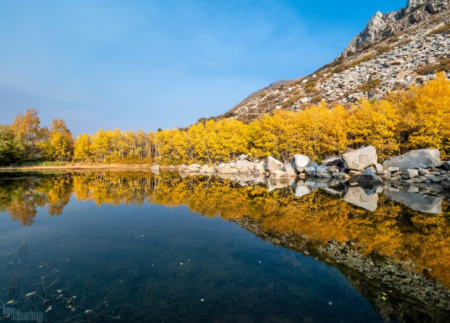 Bishop Creek Canyon, California (2020)