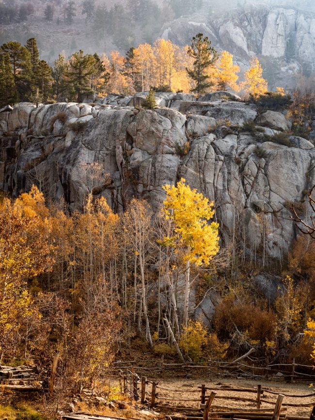 Bishop Creek Canyon, California (2020)