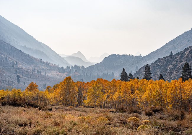 Bishop Creek Canyon, California (2020)