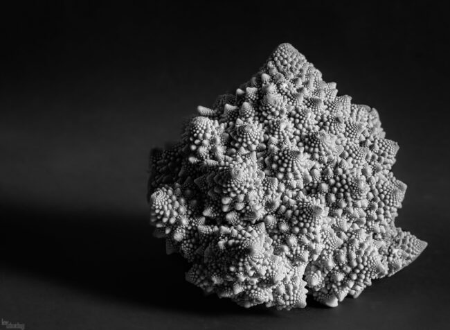 Fractal Romanesco (2023)