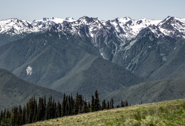 Olympic National Park, Washington (2022)