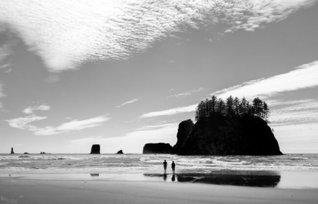 Second Beach, Olympic National Park, Washington (2022)