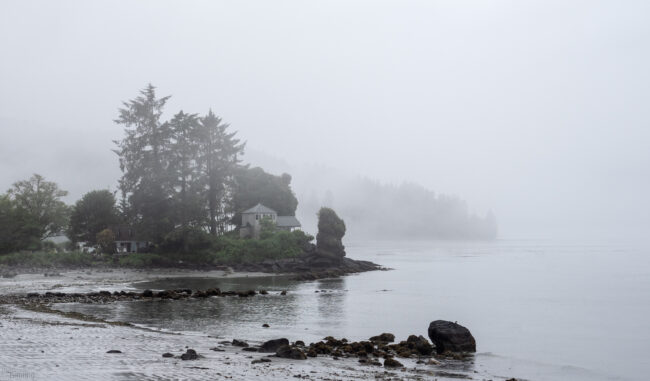 Second Beach, Olympic National Park, Washington (2022)