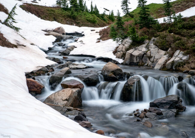 Olympic National Park, Washington (2022)