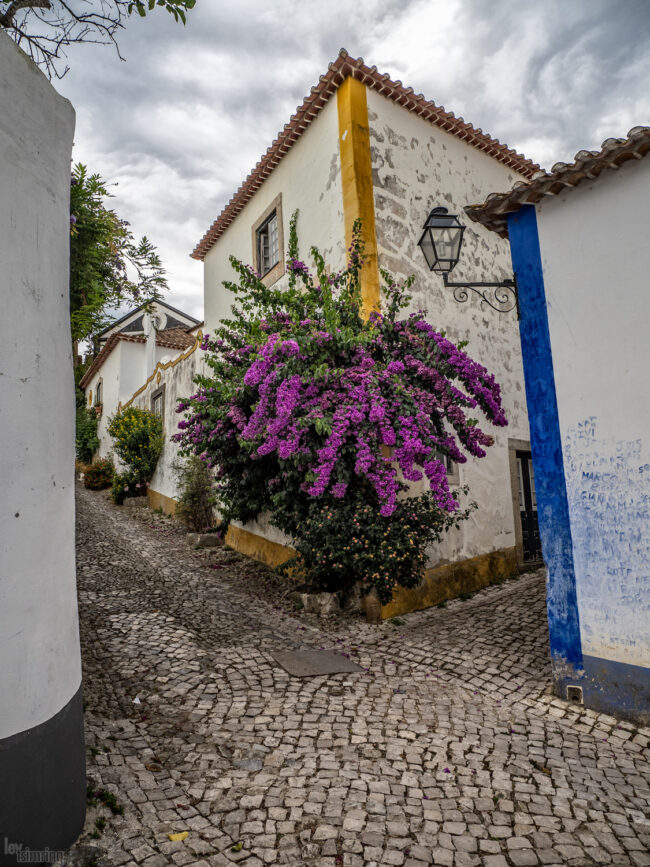 Obidos, Portugal (2022)