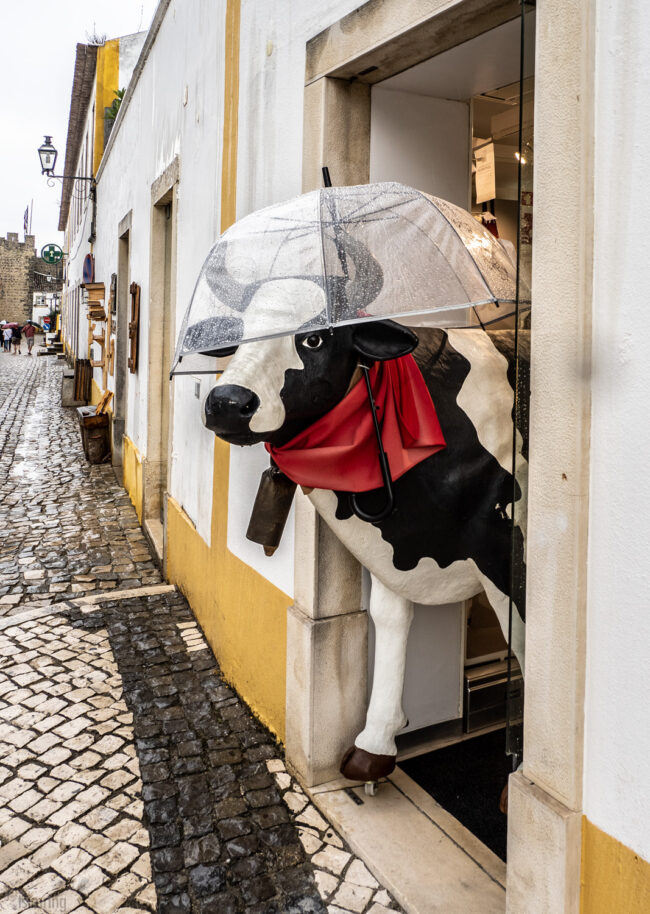 Obidos, Portugal (2022)