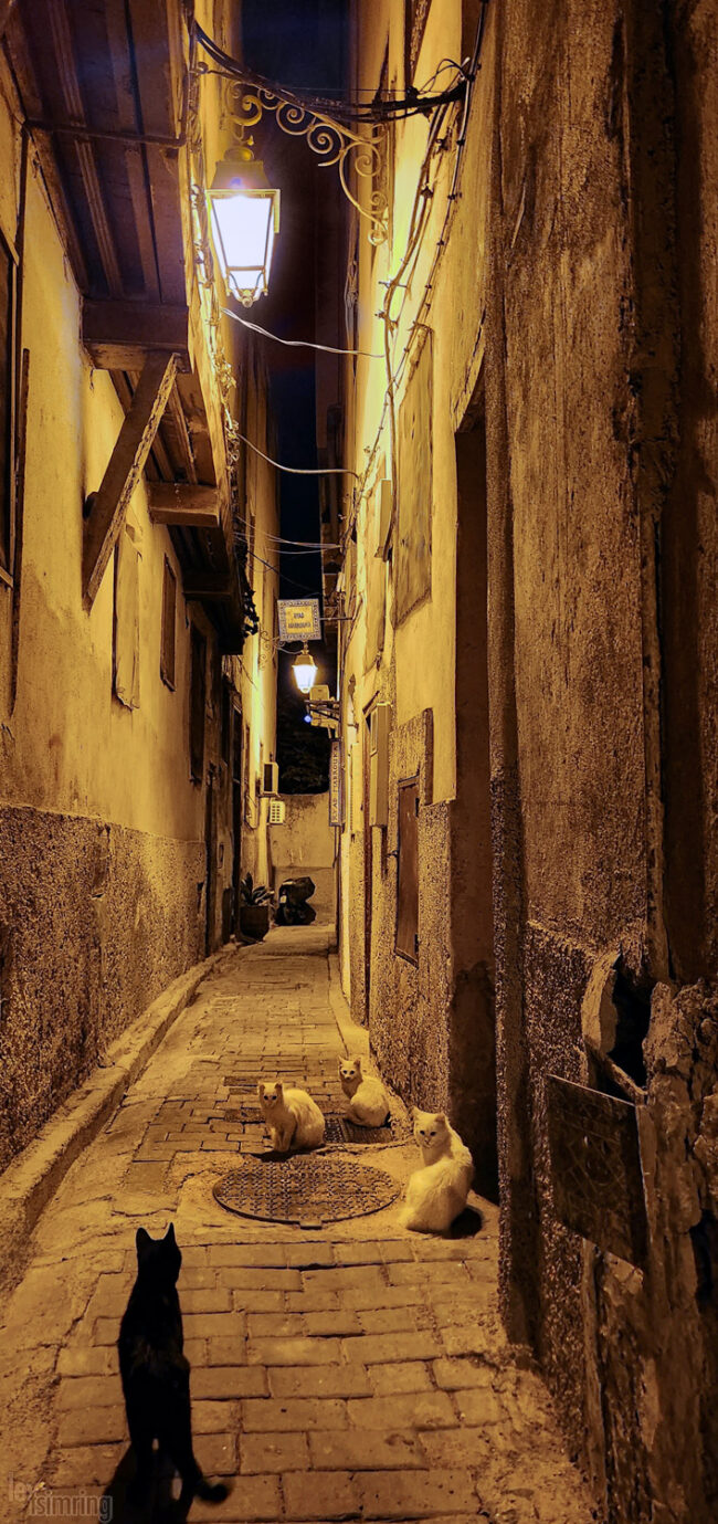 Fez, Morocco (2023)