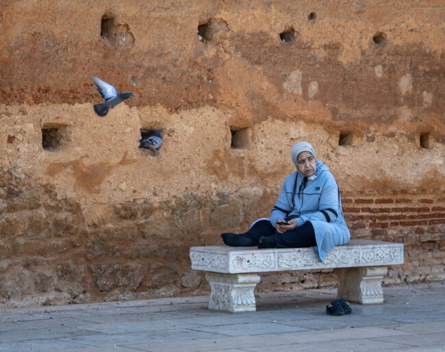 Rabat, Morocco (2023)